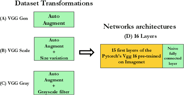 Figure 3 for Ultra-fast image categorization in vivo and in silico