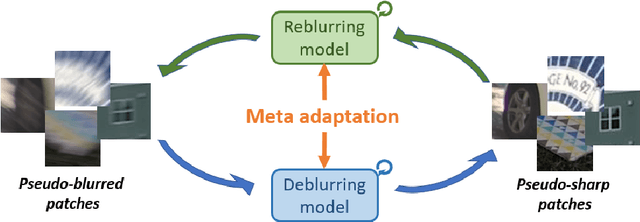 Figure 1 for Meta Transferring for Deblurring