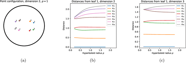Figure 4 for Learning phylogenetic trees as hyperbolic point configurations