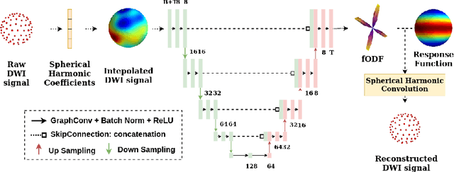 Figure 3 for Equivariant Spherical Deconvolution: Learning Sparse Orientation Distribution Functions from Spherical Data