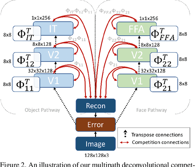 Figure 3 for The Selectivity and Competition of the Mind's Eye in Visual Perception