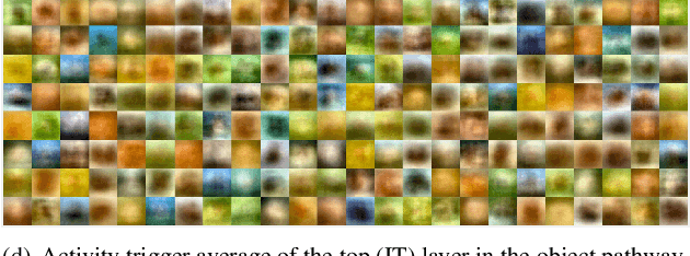Figure 4 for The Selectivity and Competition of the Mind's Eye in Visual Perception