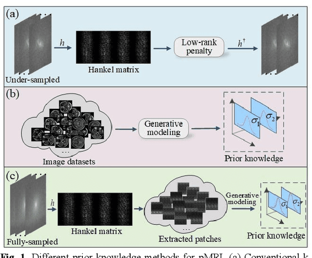 Figure 1 for One-shot Generative Prior Learned from Hankel-k-space for Parallel Imaging Reconstruction