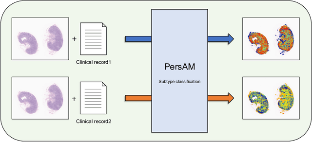 Figure 1 for Transformer-based Personalized Attention Mechanism (PersAM) for Medical Images with Clinical Records