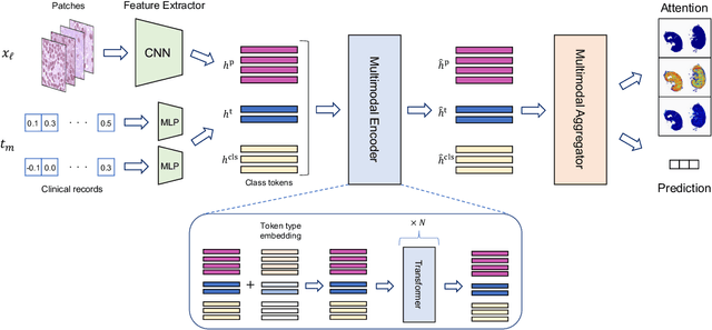 Figure 3 for Transformer-based Personalized Attention Mechanism (PersAM) for Medical Images with Clinical Records