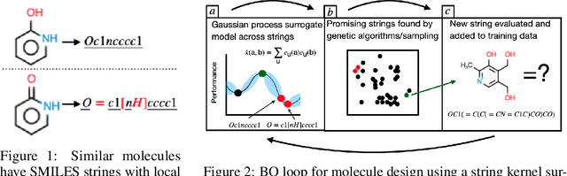 Figure 1 for BOSS: Bayesian Optimization over String Spaces