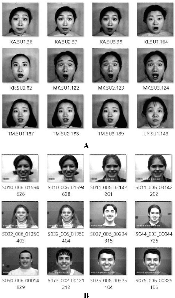 Figure 2 for Pre-Trained Convolutional Neural Network Features for Facial Expression Recognition