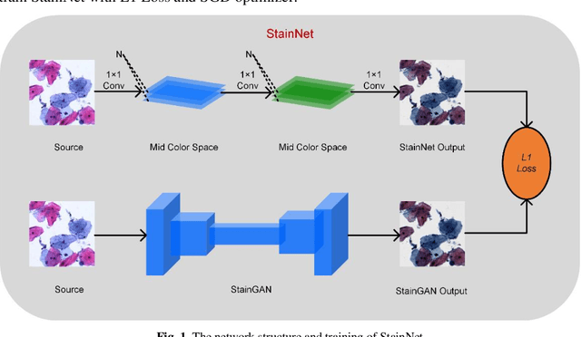 Figure 1 for StainNet: a fast and robust stain normalization network