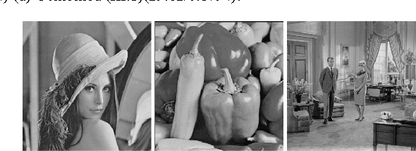 Figure 3 for A higher-order MRF based variational model for multiplicative noise reduction