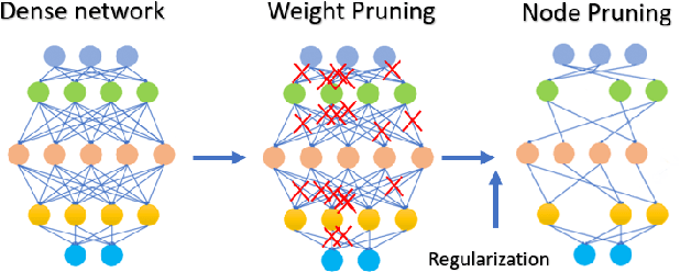 Figure 1 for The Role of Regularization in Shaping Weight and Node Pruning Dependency and Dynamics