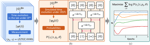 Figure 1 for Scalably learning quantum many-body Hamiltonians from dynamical data
