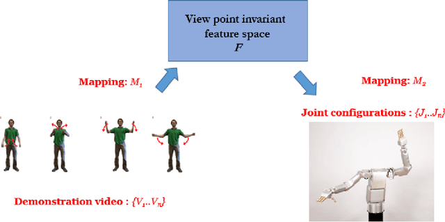 Figure 2 for Defining the problem of Observation Learning