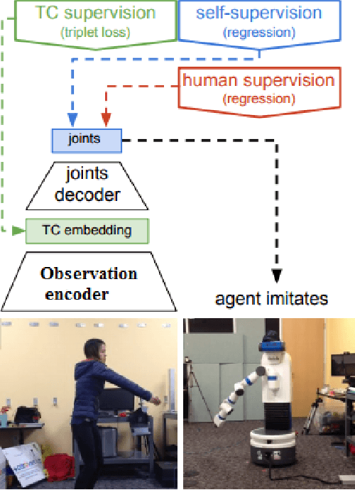 Figure 4 for Defining the problem of Observation Learning