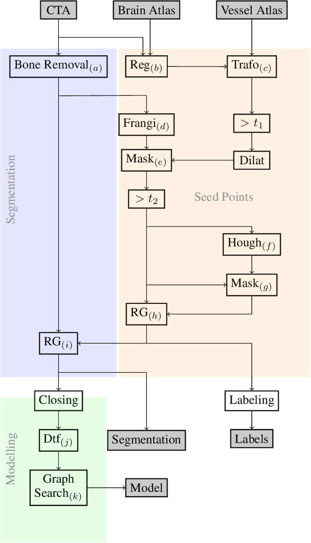 Figure 1 for An Algorithm for the Labeling and Interactive Visualization of the Cerebrovascular System of Ischemic Strokes