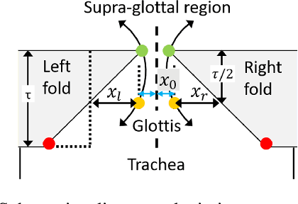 Figure 1 for Detection of COVID-19 through the analysis of vocal fold oscillations