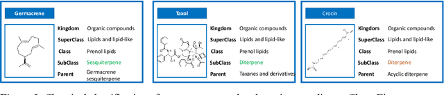 Figure 3 for The chemical space of terpenes: insights from data science and AI