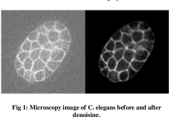 Figure 1 for Augmenting C. elegans Microscopic Dataset for Accelerated Pattern Recognition