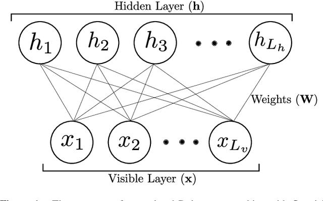 Figure 1 for Finding Quantum Critical Points with Neural-Network Quantum States