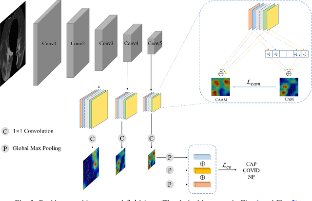 Figure 3 for Explainable COVID-19 Infections Identification and Delineation Using Calibrated Pseudo Labels