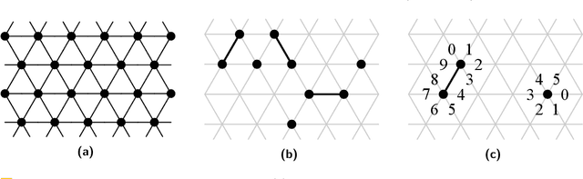 Figure 1 for The Canonical Amoebot Model: Algorithms and Concurrency Control