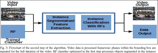 Figure 3 for Bootstrapping Labelled Dataset Construction for Cow Tracking and Behavior Analysis