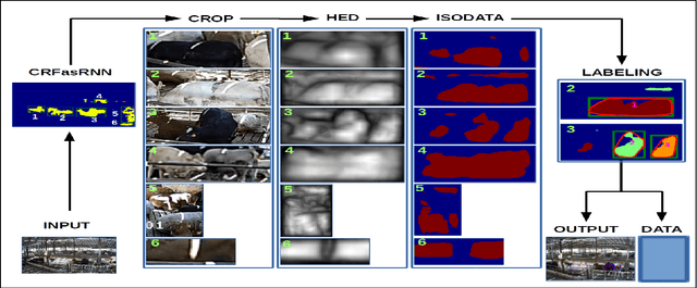 Figure 4 for Bootstrapping Labelled Dataset Construction for Cow Tracking and Behavior Analysis