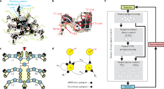 Figure 1 for Self-organized adaptation of a simple neural circuit enables complex robot behaviour