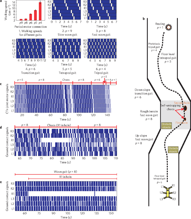 Figure 4 for Self-organized adaptation of a simple neural circuit enables complex robot behaviour