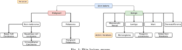 Figure 1 for Skin Lesions Classification Using Convolutional Neural Networks in Clinical Images