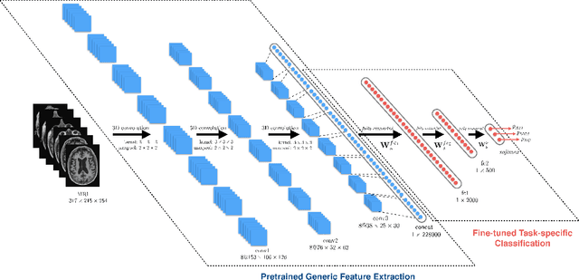 Figure 3 for Alzheimer's Disease Diagnostics by Adaptation of 3D Convolutional Network