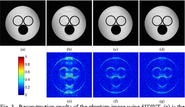 Figure 4 for Projected Iterative Soft-thresholding Algorithm for Tight Frames in Compressed Sensing Magnetic Resonance Imaging