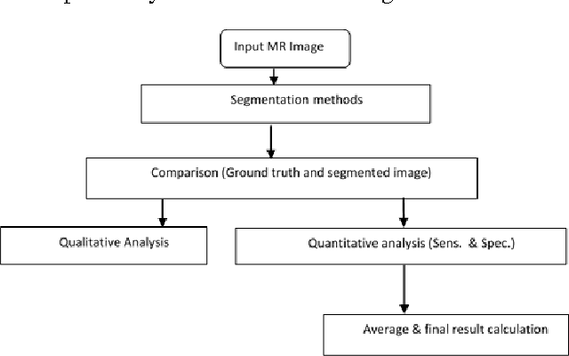 Figure 1 for Brain Tumor Segmentation: A Comparative Analysis