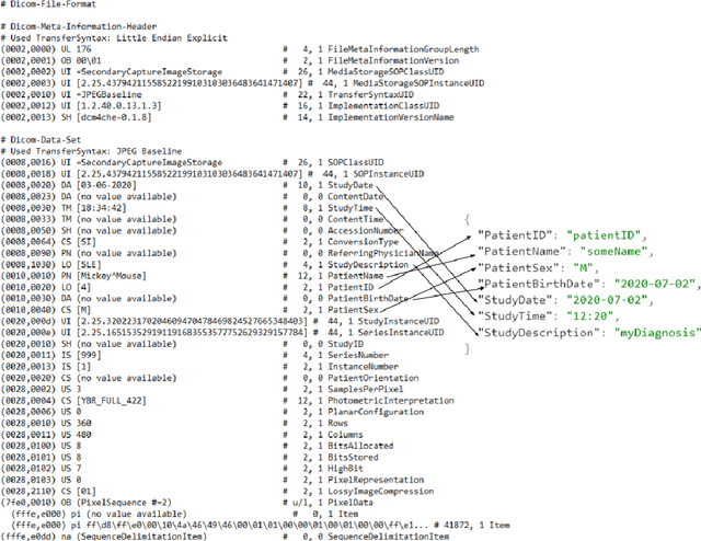 Figure 1 for DICODerma: A practical approach for metadata management of images in dermatology