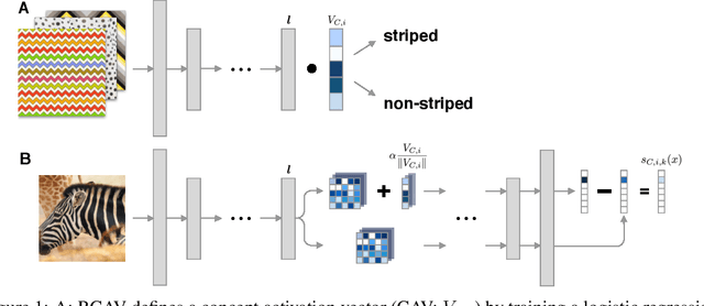 Figure 1 for Robust Semantic Interpretability: Revisiting Concept Activation Vectors