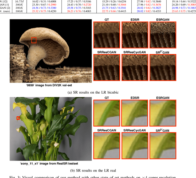 Figure 3 for A Deep Residual Star Generative Adversarial Network for multi-domain Image Super-Resolution