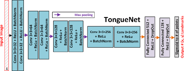Figure 1 for Deep Learning for Automatic Tracking of Tongue Surface in Real-time Ultrasound Videos, Landmarks instead of Contours