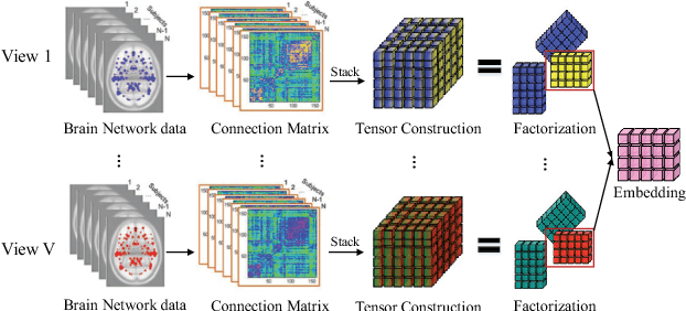 Figure 1 for Multi-View Multi-Graph Embedding for Brain Network Clustering Analysis