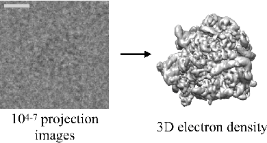 Figure 1 for Reconstructing continuously heterogeneous structures from single particle cryo-EM with deep generative models
