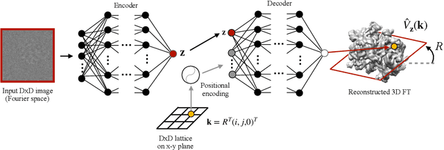 Figure 3 for Reconstructing continuously heterogeneous structures from single particle cryo-EM with deep generative models