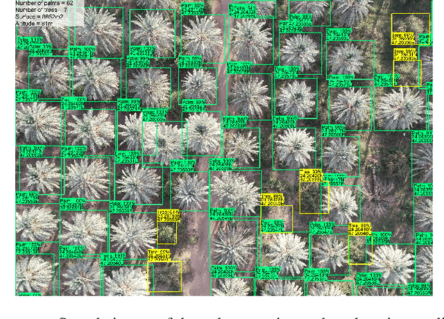 Figure 1 for Deep-Learning-based Automated Palm Tree Counting and Geolocation in Large Farms from Aerial Geotagged Images