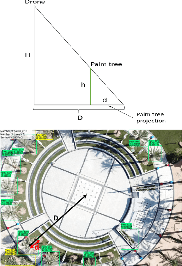 Figure 2 for Deep-Learning-based Automated Palm Tree Counting and Geolocation in Large Farms from Aerial Geotagged Images