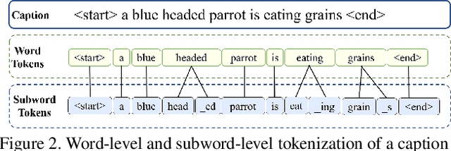 Figure 3 for SubICap: Towards Subword-informed Image Captioning
