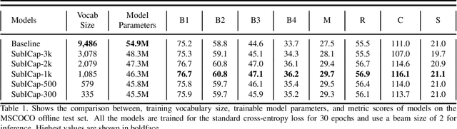 Figure 2 for SubICap: Towards Subword-informed Image Captioning