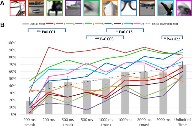 Figure 3 for What takes the brain so long: Object recognition at the level of minimal images develops for up to seconds of presentation time