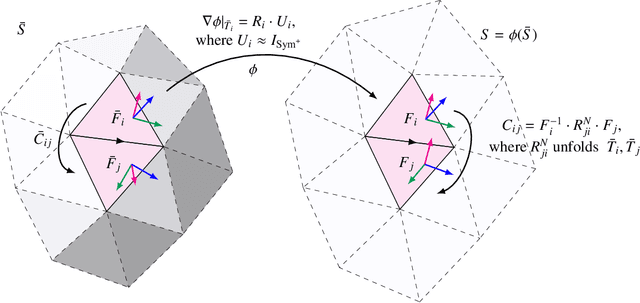Figure 4 for Rigid Motion Invariant Statistical Shape Modeling based on Discrete Fundamental Forms