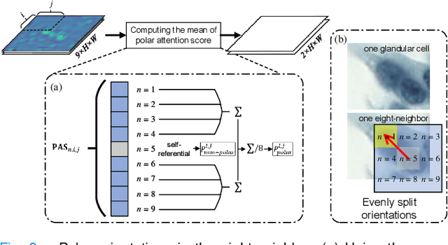 Figure 3 for Cervical Glandular Cell Detection from Whole Slide Image with Out-Of-Distribution Data