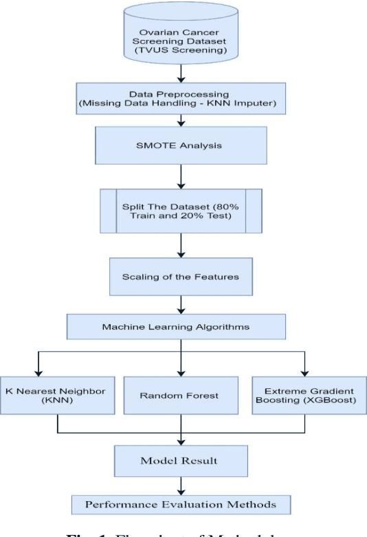 Figure 1 for Ovarian Cancer Prediction from Ovarian Cysts Based on TVUS Using Machine Learning Algorithms