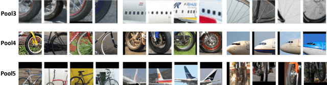 Figure 1 for Unsupervised learning of object semantic parts from internal states of CNNs by population encoding