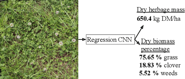 Figure 1 for Semi-supervised dry herbage mass estimation using automatic data and synthetic images