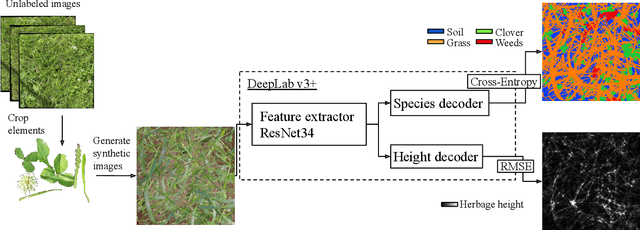 Figure 3 for Semi-supervised dry herbage mass estimation using automatic data and synthetic images